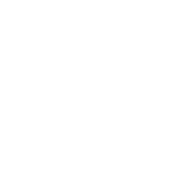 SNF_FESTIVAL_2023